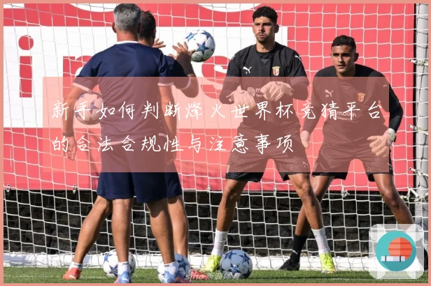 新手如何判断烽火世界杯竞猜平台的合法合规性与注意事项