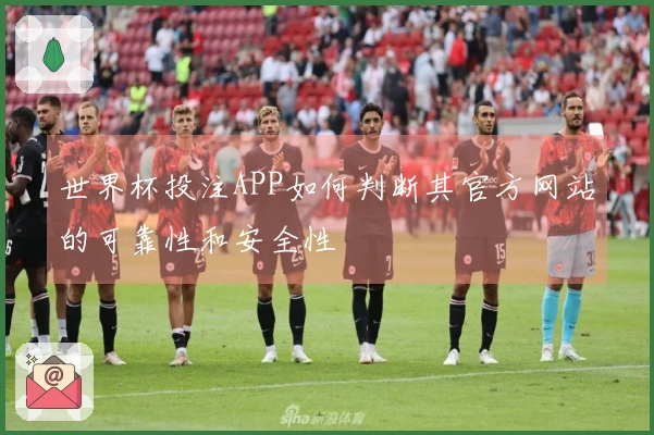 世界杯投注APP如何判断其官方网站的可靠性和安全性