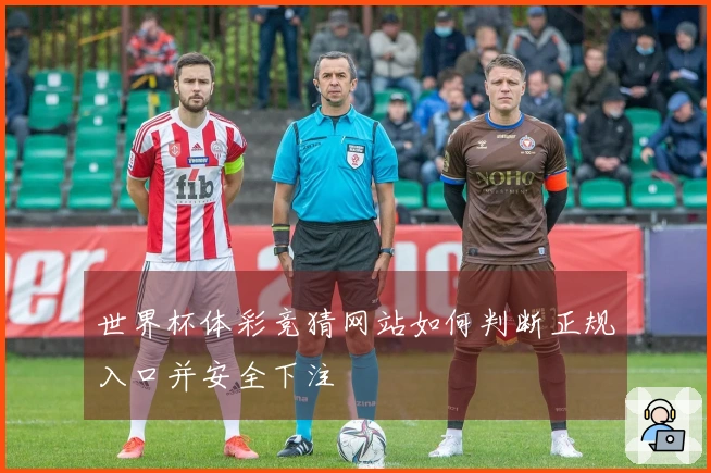 世界杯体彩竞猜网站如何判断正规入口并安全下注