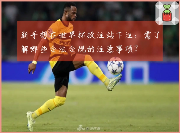新手想在世界杯投注站下注，需了解哪些合法合规的注意事项？