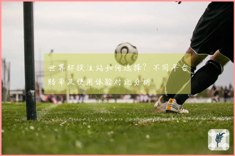 世界杯投注站如何选择？不同平台赔率及使用体验对比分析