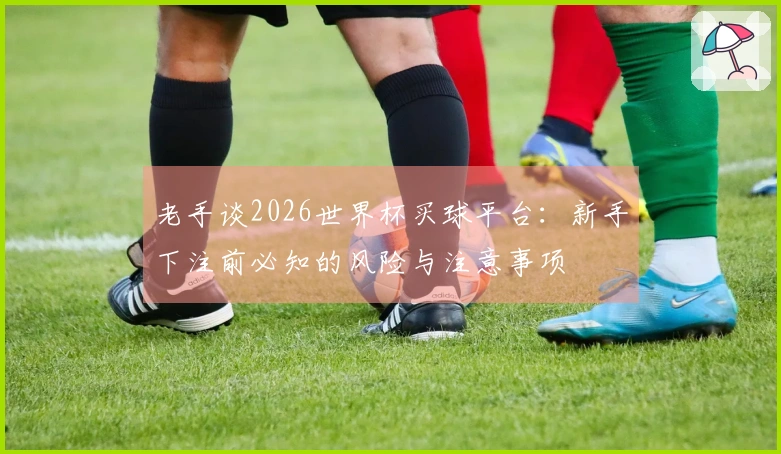 老手谈2026世界杯买球平台：新手下注前必知的风险与注意事项