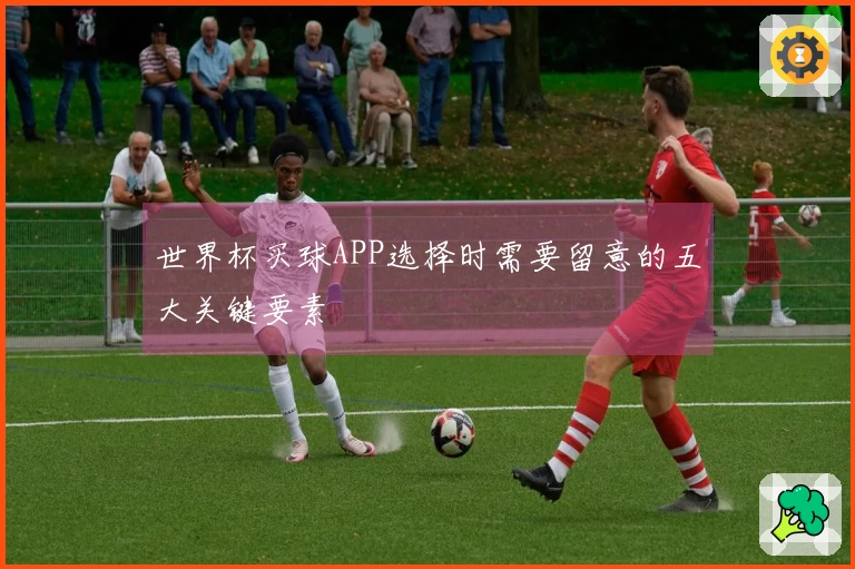 世界杯买球APP选择时需要留意的五大关键要素