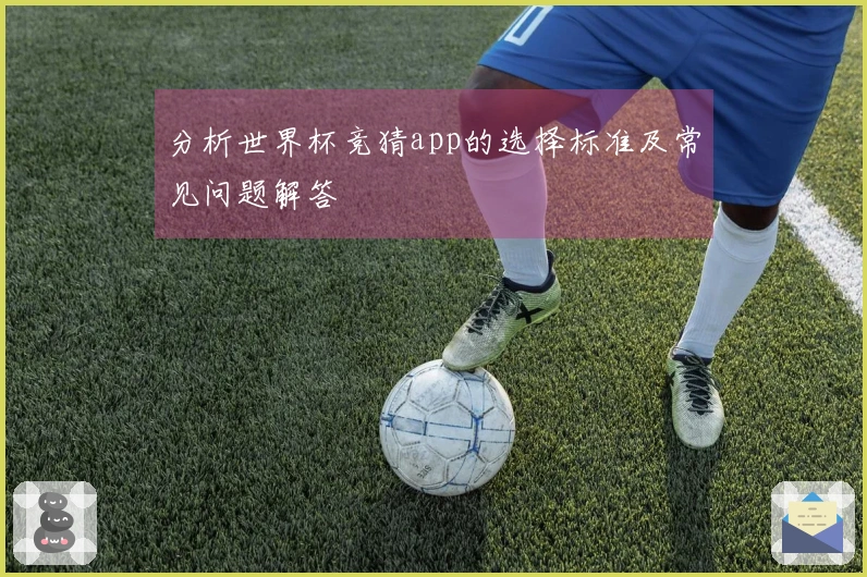 分析世界杯竞猜app的选择标准及常见问题解答