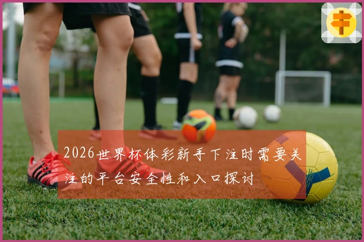 2026世界杯体彩新手下注时需要关注的平台安全性和入口探讨