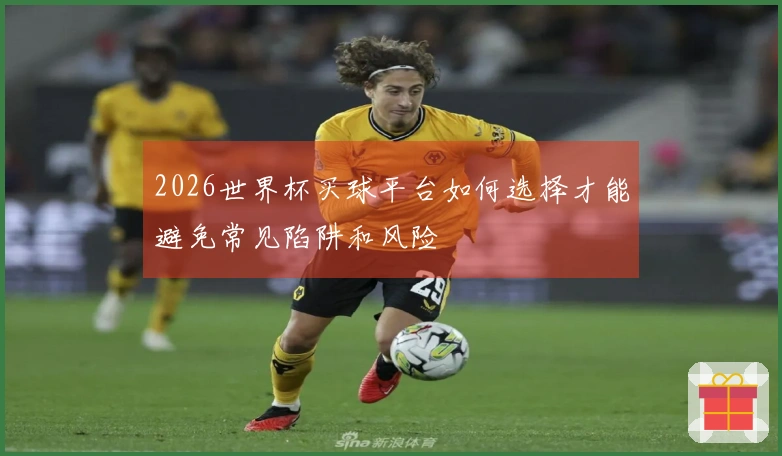 2026世界杯买球平台如何选择才能避免常见陷阱和风险