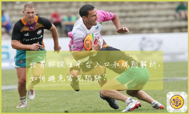 世界杯投注平台入口和规则解析，如何避免常见陷阱？
