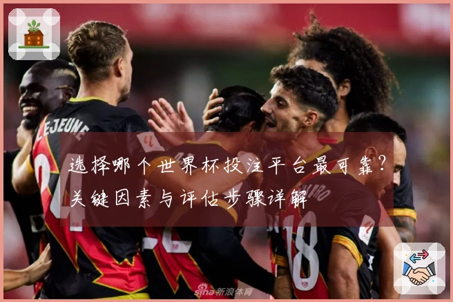 选择哪个世界杯投注平台最可靠？关键因素与评估步骤详解