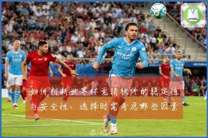 如何判断世界杯竞猜软件的稳定性与安全性，选择时需考虑哪些因素