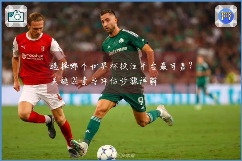 选择哪个世界杯投注平台最可靠？关键因素与评估步骤详解